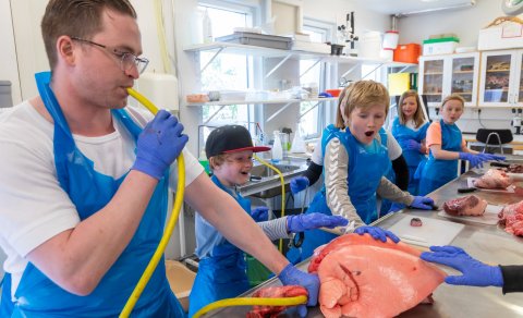 Vísindaskólinn í 6 ár