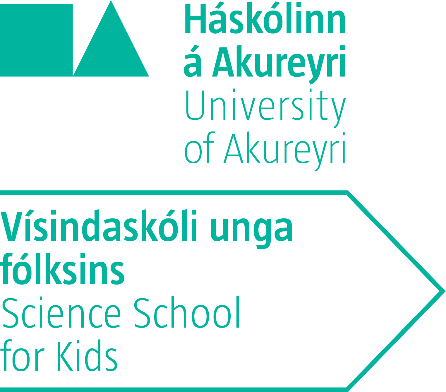 Vísindaskólinn 2026